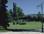 Arboretum