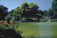 Belvoirpark